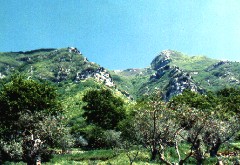 Monte Monaco