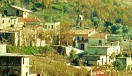Criscia